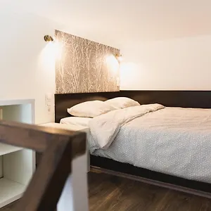 Charming Budget Lofts In The Centre Apartament